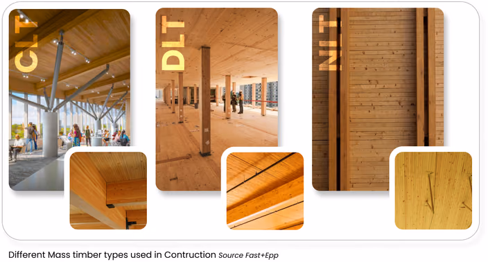 Three types of mass timber used in construction: CLT, DLT, and NLT with close-up detail photos of each material type